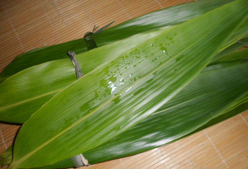 新鲜的粽子叶怎么处理-粽子叶三种处理方法