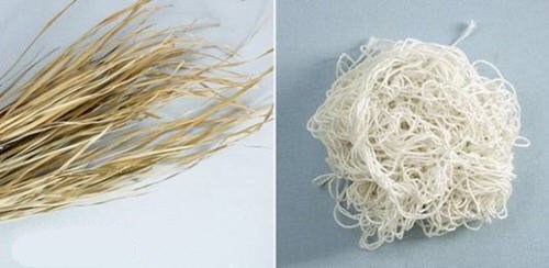 长方形粽子怎么包-图解广西长粽子的包法2