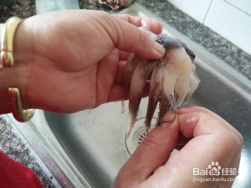 鱿鱼须怎么清洗-图解清洗鱿鱼须的方法8