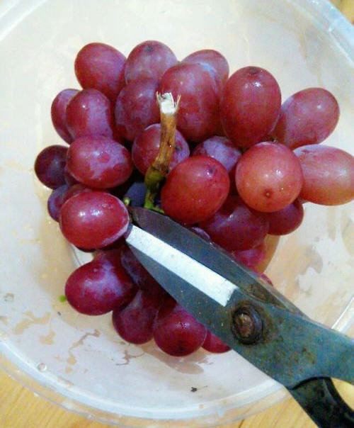 提子怎么洗才干净-图解提子的清洗方法1