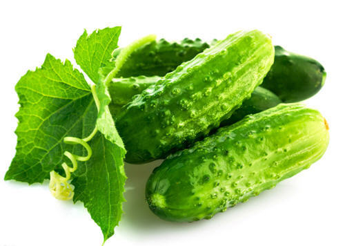 多吃黄瓜有什么好处-解析吃黄瓜的好处与功效2