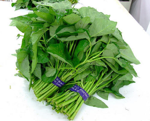 吃药的时候能吃空心菜吗-空心菜会解药吗1