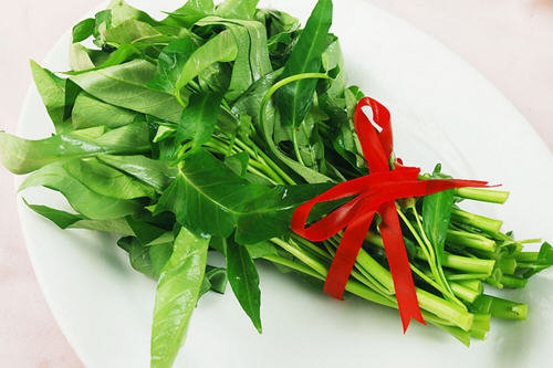 吃药的时候能吃空心菜吗-空心菜会解药吗2