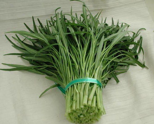 吃药的时候能吃空心菜吗-空心菜会解药吗3