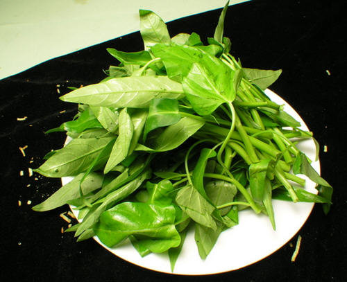 吃药的时候能吃空心菜吗-空心菜会解药吗4