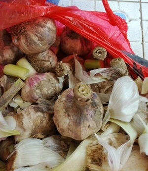 怎样腌糖蒜简单好吃？1