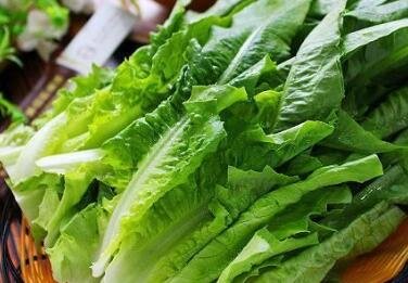 油麦菜的热量-油麦菜的营养价值(每100克)2