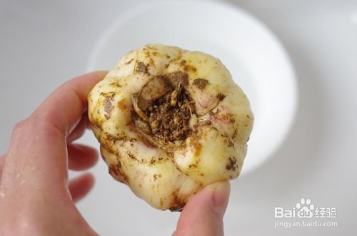 新鲜的百合清洗方法1