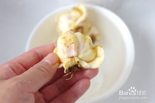 新鲜的百合清洗方法4