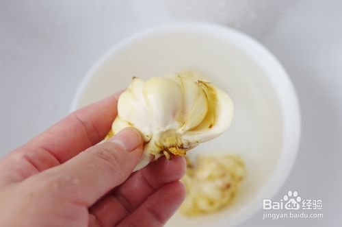 新鲜的百合清洗方法5