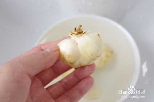 新鲜的百合清洗方法7