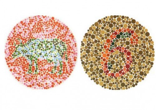 第五版的色盲测试图完整版-色盲测试图第五版及答案1