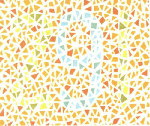 第五版的色盲测试图完整版-色盲测试图第五版及答案3