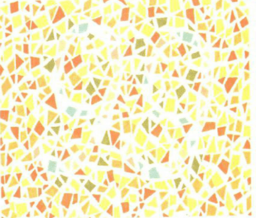 第五版的色盲测试图完整版-色盲测试图第五版及答案5