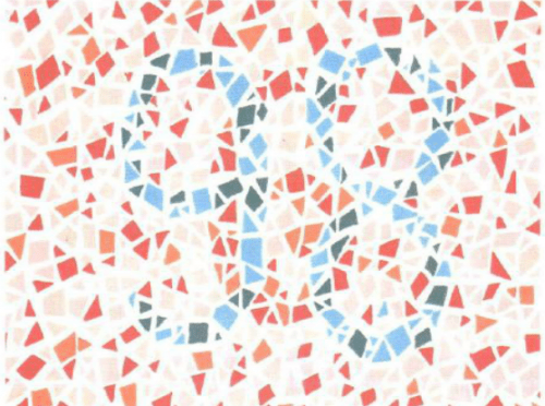 第五版的色盲测试图完整版-色盲测试图第五版及答案8