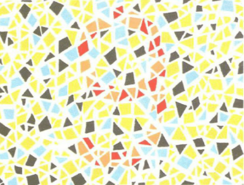 第五版的色盲测试图完整版-色盲测试图第五版及答案10