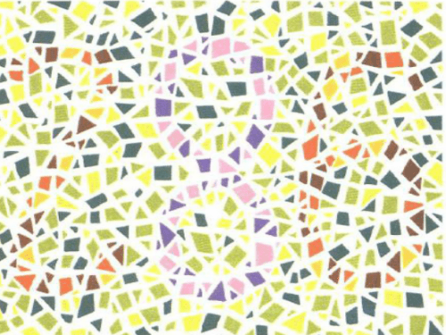 第五版的色盲测试图完整版-色盲测试图第五版及答案11