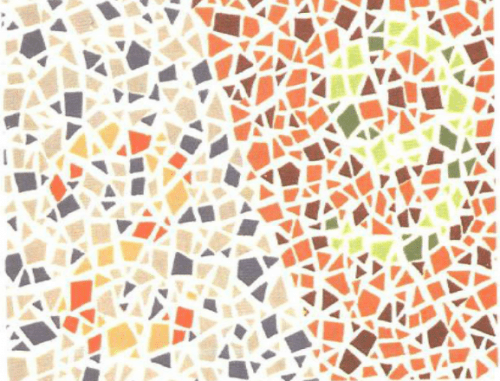 第五版的色盲测试图完整版-色盲测试图第五版及答案13