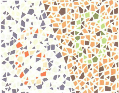 第五版的色盲测试图完整版-色盲测试图第五版及答案14