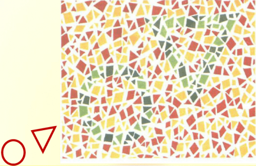 第五版的色盲测试图完整版-色盲测试图第五版及答案20