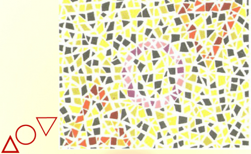 第五版的色盲测试图完整版-色盲测试图第五版及答案21