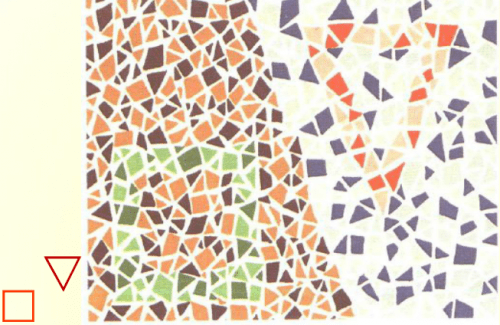 第五版的色盲测试图完整版-色盲测试图第五版及答案22