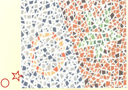 第五版的色盲测试图完整版-色盲测试图第五版及答案23