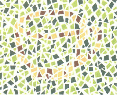 第五版的色盲测试图完整版-色盲测试图第五版及答案27