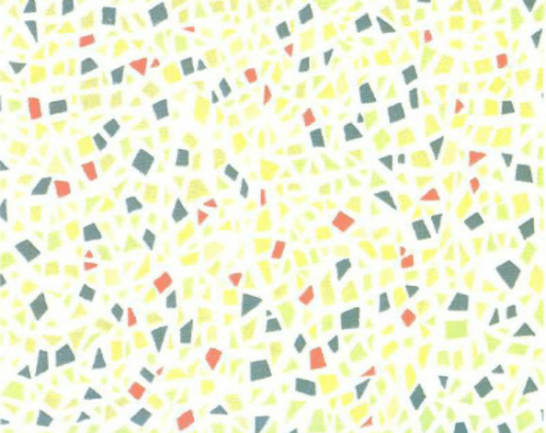 第五版的色盲测试图完整版-色盲测试图第五版及答案31