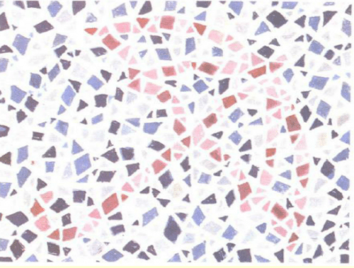 第五版的色盲测试图完整版-色盲测试图第五版及答案37