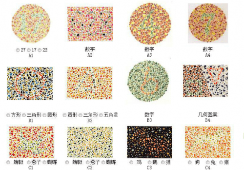 第五版的色盲测试图完整版-色盲测试图第五版及答案39