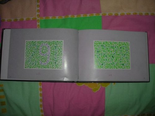 第五版的色盲测试图完整版-色盲测试图第五版及答案43