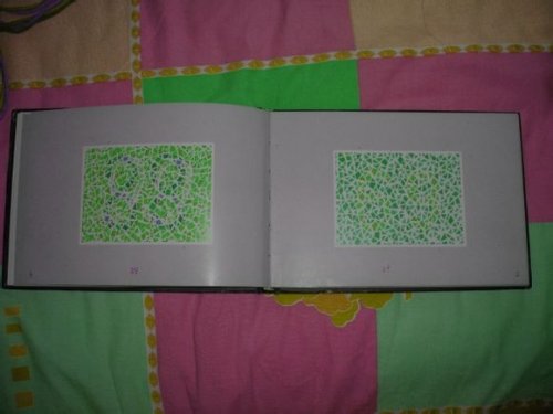 第五版的色盲测试图完整版-色盲测试图第五版及答案44