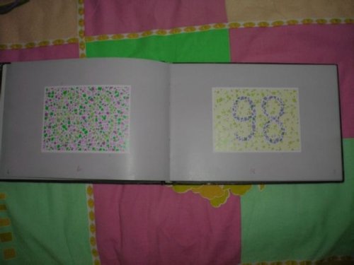 第五版的色盲测试图完整版-色盲测试图第五版及答案45