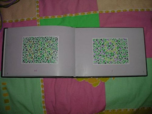 第五版的色盲测试图完整版-色盲测试图第五版及答案46