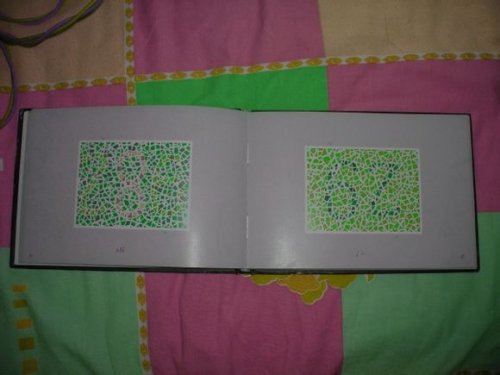 第五版的色盲测试图完整版-色盲测试图第五版及答案47