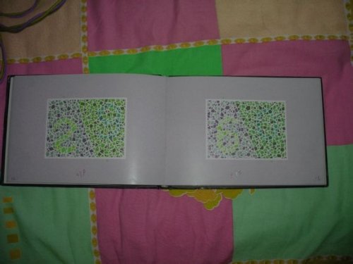 第五版的色盲测试图完整版-色盲测试图第五版及答案48