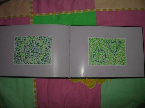 第五版的色盲测试图完整版-色盲测试图第五版及答案51