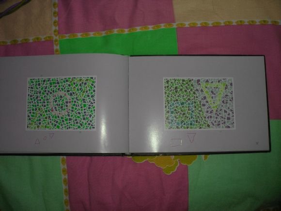 第五版的色盲测试图完整版-色盲测试图第五版及答案52