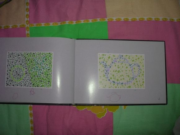 第五版的色盲测试图完整版-色盲测试图第五版及答案53