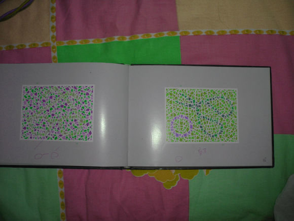 第五版的色盲测试图完整版-色盲测试图第五版及答案54