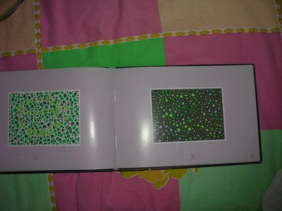 第五版的色盲测试图完整版-色盲测试图第五版及答案55