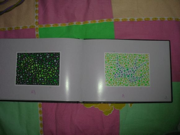 第五版的色盲测试图完整版-色盲测试图第五版及答案56