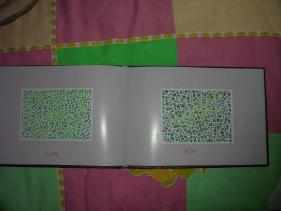 第五版的色盲测试图完整版-色盲测试图第五版及答案57