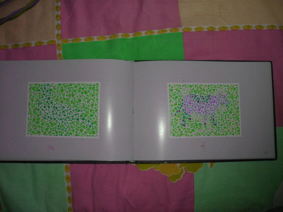 第五版的色盲测试图完整版-色盲测试图第五版及答案58