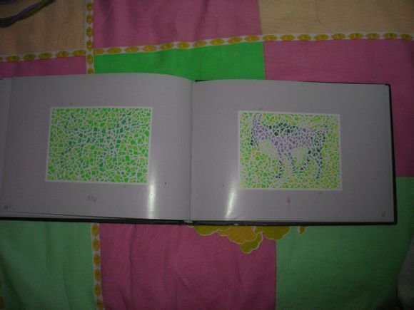 第五版的色盲测试图完整版-色盲测试图第五版及答案59