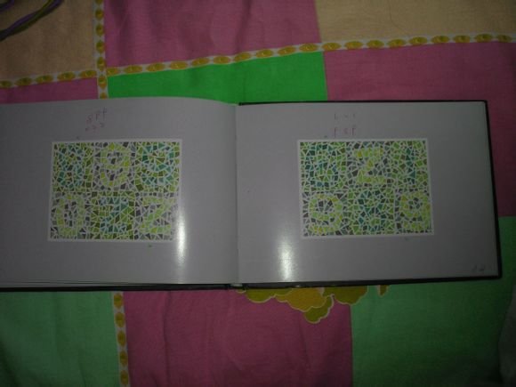 第五版的色盲测试图完整版-色盲测试图第五版及答案61