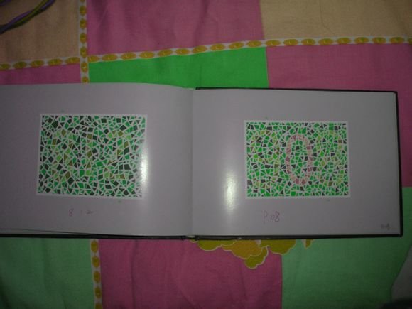 第五版的色盲测试图完整版-色盲测试图第五版及答案62