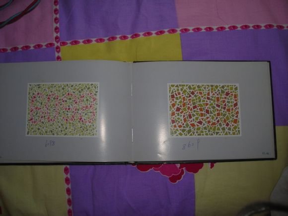 第五版的色盲测试图完整版-色盲测试图第五版及答案63