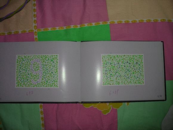 第五版的色盲测试图完整版-色盲测试图第五版及答案64